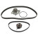 Timing belt set 173211 FEBI