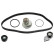 Timing belt set 173295 FEBI