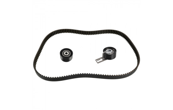 Timing belt set 173318 FEBI
