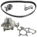 Timing belt set 173565 FEBI