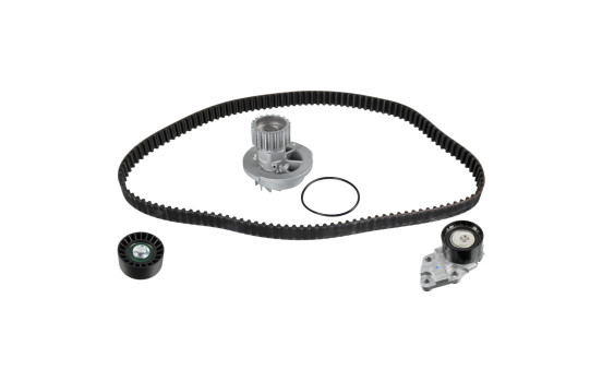 Timing belt set 174092 FEBI