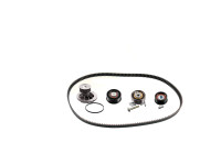 Timing belt set 176609 FEBI