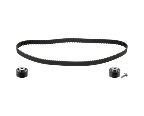Timing belt set 19621 FEBI