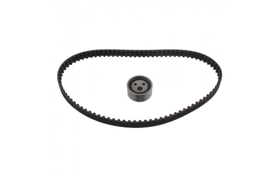 Timing Belt Set 21249 FEBI