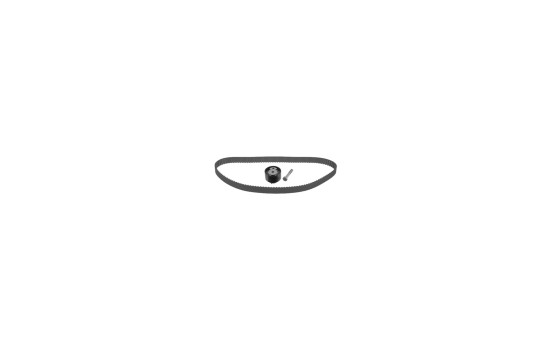 Timing belt set 21901 FEBI