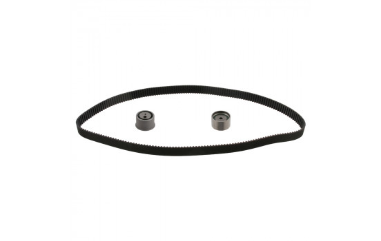 Timing Belt Set 31060 FEBI