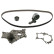 Timing belt set 32730 FEBI