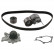 Timing belt set 32826 FEBI