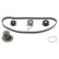 Timing belt set 33827 FEBI