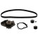 Timing belt set 45111 FEBI