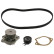 Timing belt set 45136 FEBI