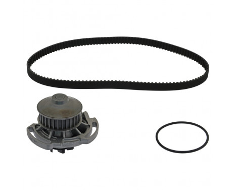 Timing belt set 45138 FEBI