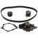 Timing belt set 45175 FEBI