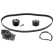 Timing belt set 46411 FEBI