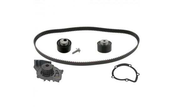 Timing belt set 46411 FEBI