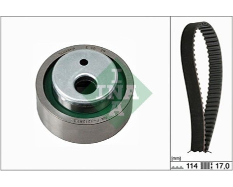 Timing Belt Set 530025810 Ina