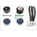 Timing Belt Set 530076610 Ina