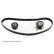 Timing Belt Set ADC47345 Blue Print, Thumbnail 3