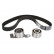 Timing Belt Set CT1041K1 Contitech