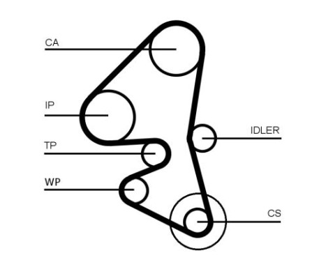 Timing Belt Set CT1162K5 Contitech, Image 2