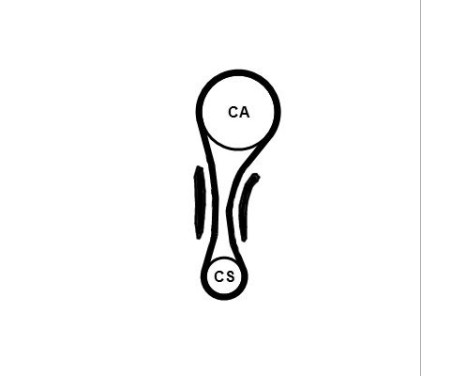 Timing Belt Set CT1210K1 Contitech, Image 4