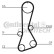Timing Belt Set CT706K1 Contitech, Thumbnail 2