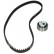 Timing Belt Set CT718K1 Contitech