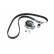 Timing Belt Set CT909K4 Contitech