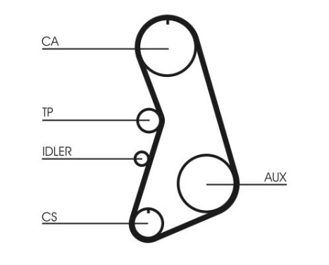 Timing Belt Set CT919K1 Contitech, Image 4