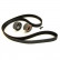 Timing Belt Set CT920K1 Contitech