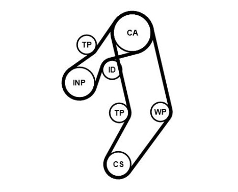 Timing belt set CT939K8PRO Contitech, Image 3