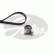 Timing Belt Set PowerGrip® K015228XS Gates
