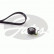 Timing Belt Set PowerGrip® K015574XS Gates