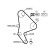 Timing Belt Set PowerGrip® K015590XS Gates, Thumbnail 3