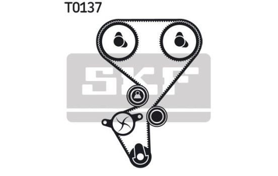 Timing Belt Set VKMA 03130 SKF, Image 2