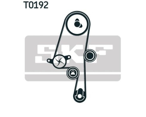 Timing Belt Set VKMA 06220 SKF, Image 5