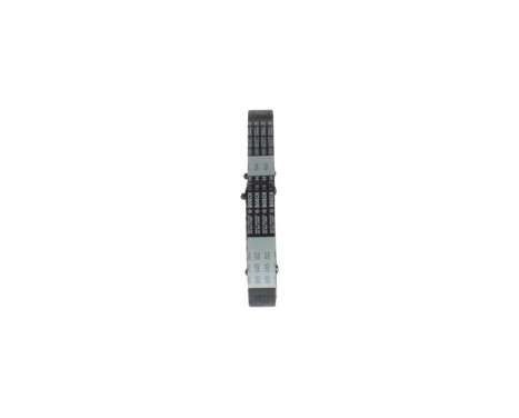 Timing Belt STD8808M22 Bosch, Image 2