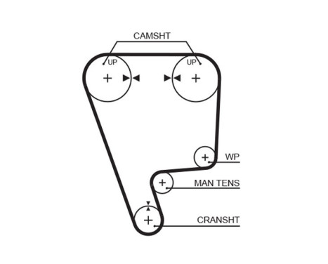 Timing belt T227RB Gates