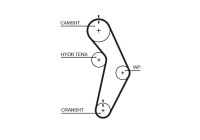 Timing belt T245 Gates