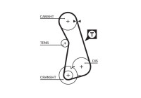 Timing belt T262RB Gates