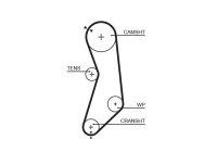 Toothed belt 5319 Gates