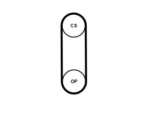 Toothed belt CT1238 Contitech