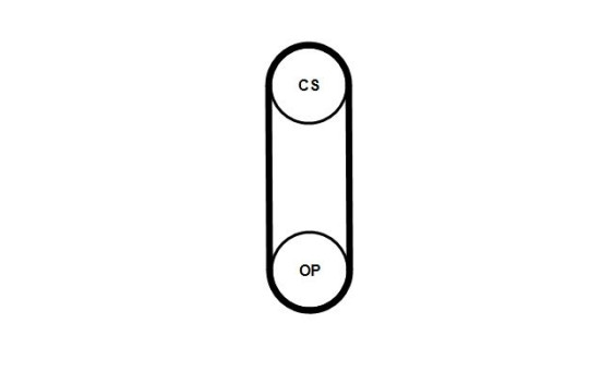 Toothed belt CT1238 Contitech