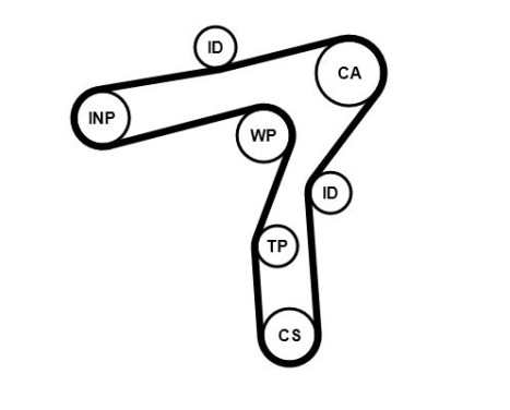 Toothed belt CT1241 Contitech, Image 2