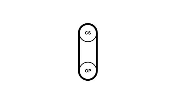Toothed belt CT1243 Contitech, Image 2