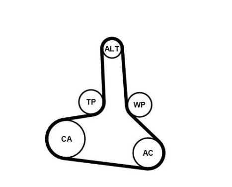 Toothed belt CT1245 Contitech, Image 2