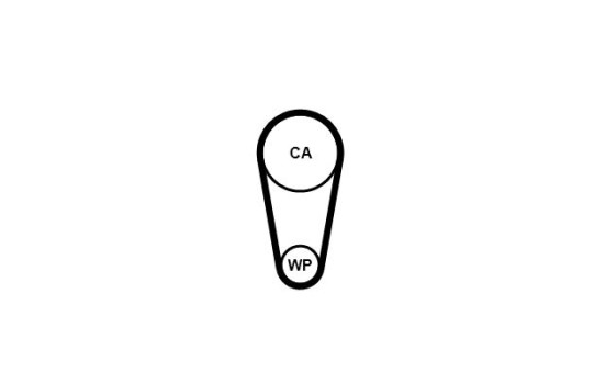 Toothed belt CT1248 Contitech