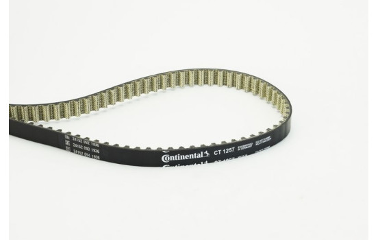 Toothed belt CT1257 Contitech