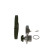 Water Pump & Timing Belt Set 1 987 946 491 Bosch, Thumbnail 4