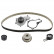 Water Pump & Timing Belt Set 173114 FEBI